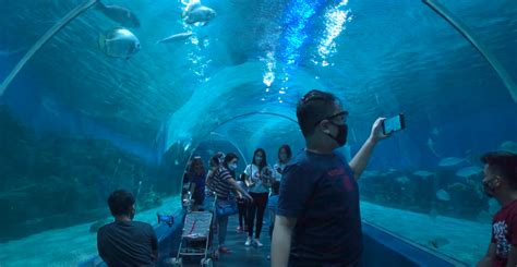 Manila Ocean Park - A must-visit Oceanarium in Philippines - Island Times