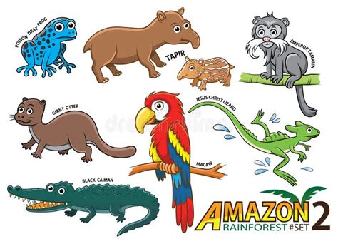 Set of Cute Cartoon Animals and Birds in the Amazon Areas of Sou Stock ...