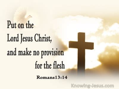 Romans 13:14 But put on the Lord Jesus Christ, and make no provision ...