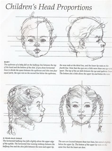 Proportions of children infant and baby heads reference sheets – Artofit