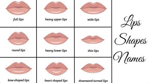 Cupid Bow Lips Exercise | Lipstutorial.org