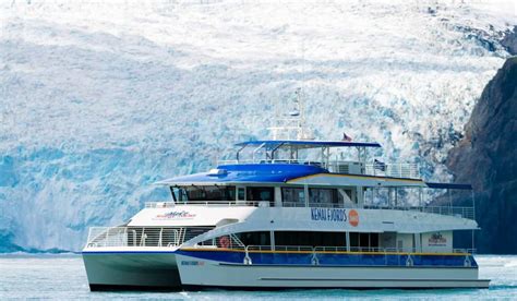 Kenai Fjords 360 - Major Marine Tours