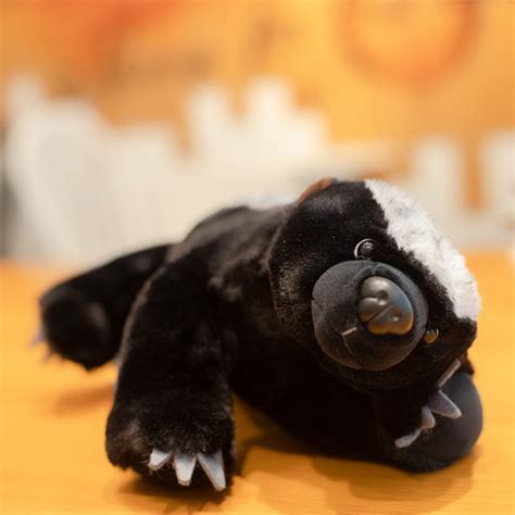 Honey Badger Plushie Toys - Kawaii Fashion Shop | Cute Asian Japanese ...