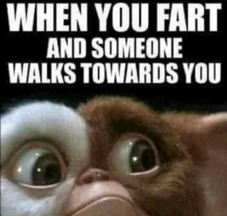 35 Fart Memes That Will Make You Stop and Laugh - SayingImages.com