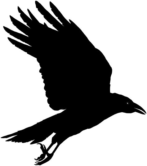 Free Black Raven Cliparts, Download Free Black Raven Cliparts png ...