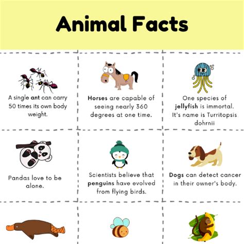 Fun Facts For Kids, Fun Facts About Animals, Animal Facts, Random Fun ...