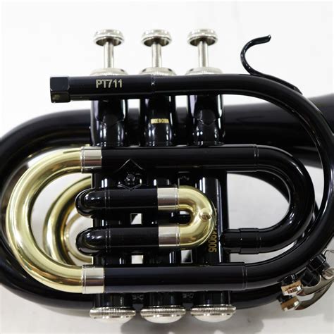 6 Best Pocket Trumpets Reviewed in Detail [Nov. 2024]