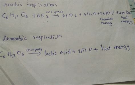 Stunning Balanced Chemical Equation For Anaerobic Respiration Nv Sir ...