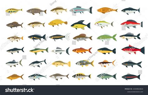 List Freshwater Aquarium Fish Species Vector Stock Illustration ...