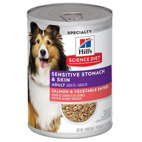 Hill's Science Diet Adult Sensitive Stomach & Skin Salmon & Vegetable ...