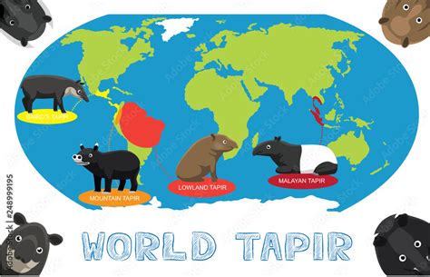 Tapir Distribution World Map Cartoon Vector Stock Vector | Adobe Stock