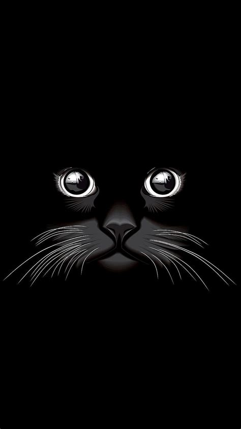 Cat Eyes, HD phone wallpaper | Peakpx