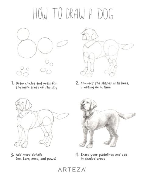 How To Draw A Dog Realistic Step By Step at Drawing Tutorials