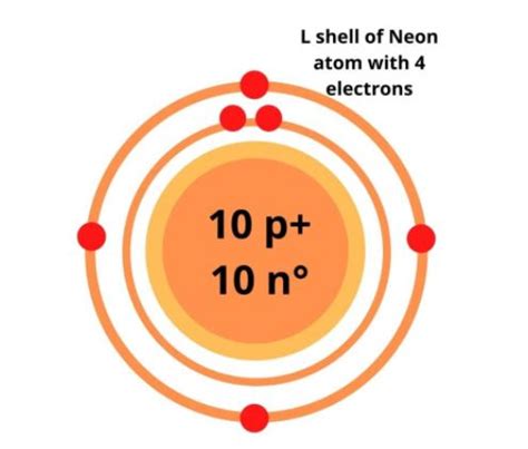 Neon Bohr Model — Diagram, Steps To Draw - Techiescientist