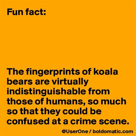 Fun fact: The fingerprints of koala bears are virtually ...