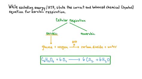 Cellular Respiration And Photosynthesis Equation