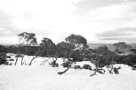 Mount Wellington Snow Photograph by David Miller