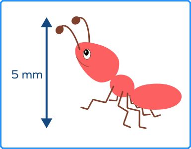 What Is a Millimeter? Definition, Formula, Conversions, Examples