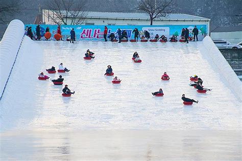 Best Winter Festivals of South Korea | KoreaTravelPost