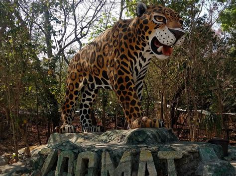 Visita a Zoomat el Zoológico de Tuxtla Gutiérrez | Blog Hoteleus