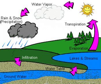 Groundwater pollution - Definition and causes | Pollution articles