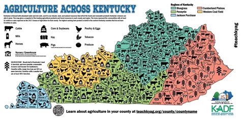 Kentucky Agriculture and Forest Map — #TeachKyAg