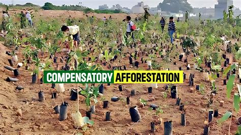 Compensatory Afforestation: Highlights And Challenges