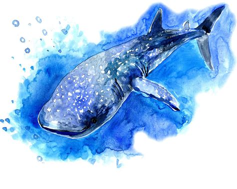 Whale Shark Painting by Suren Nersisyan | Pixels