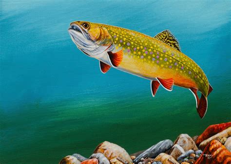 BROOKIE RISE I, Brook Trout Painting, 5x7 Canvas Giclee Gallery Wrapped ...