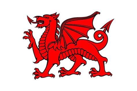 The Dragon: Everything to Know About Wales' National Animal | Rabbie's