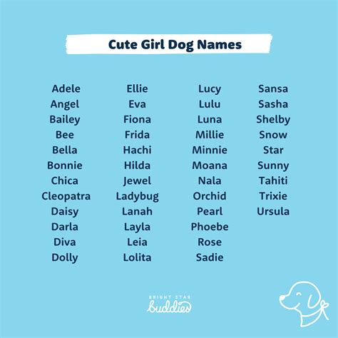 Top 200 Dog Names - Cute Dog Names You'll Love - BSB