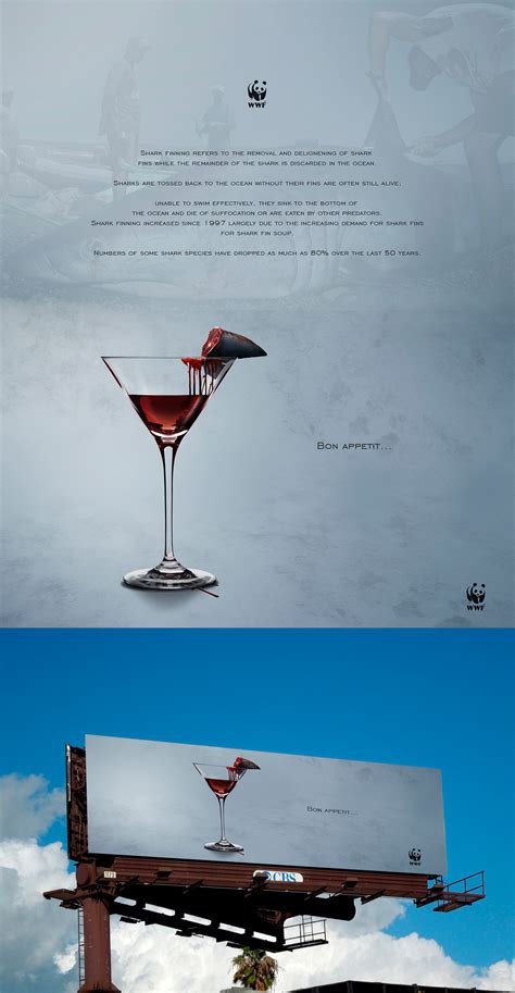 Shark finning on Behance