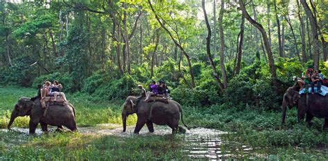 Terai Region - Volunteering in Nepal | Internship in Nepal | Volunteer ...