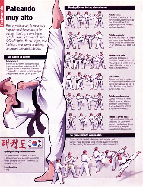 Diarios de V 2.0: El Taekwondo en infografia