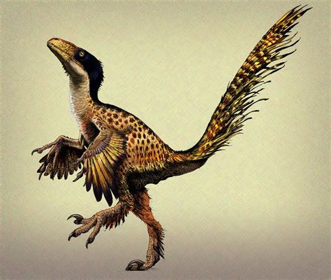 Scientific Illustration | Feathered dinosaurs, Dinosaur, Prehistoric ...