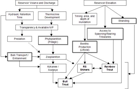 [DIAGRAM] Wiki Influence Diagram - MYDIAGRAM.ONLINE