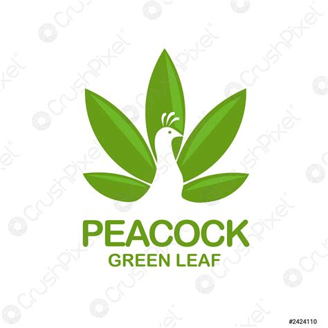 Colorful peacock logo - stock vector 2424110 | Crushpixel