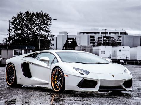 White Lamborghini Wallpaper