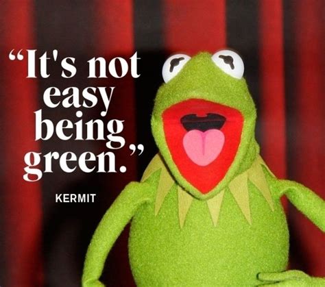 Quotes By Kermit The Frog Quotesgram