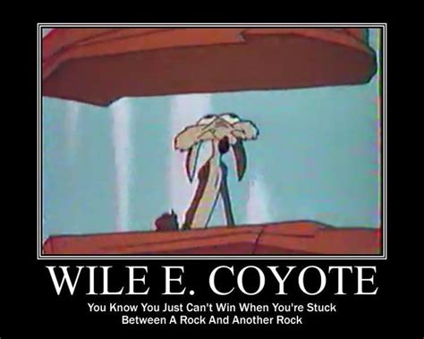 Wile E Coyote Quotes. QuotesGram