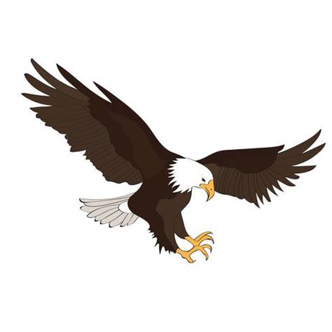 Eagle Catching Fish Drawing