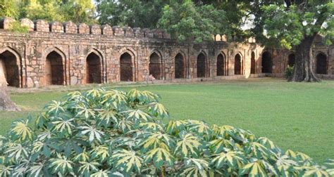 Lodi Gardens Delhi - Timings, Entry Fee, Images & Location - Delhi ...