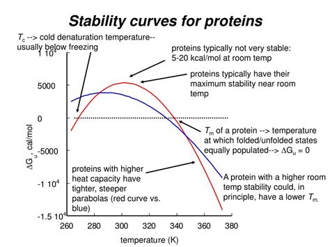 PPT - Basic protein structure and stability VI: Thermodynamics of ...