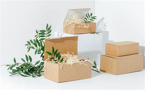 From Beginning to End: Biodegradable Packaging Options - The Packaging ...