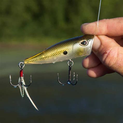 How to Rig and Fish a Topwater Lure: A Guide for New Anglers - USAngler