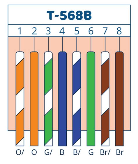 Network Cable Connectors | Cat5, Cat6, RJ45 & Fiber Optics ...