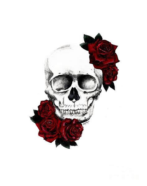 Skull With Roses Artwork