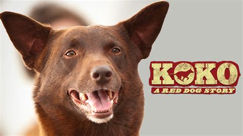 Watch Koko: A Red Dog Story (2019) Full Movie Free Online - Plex