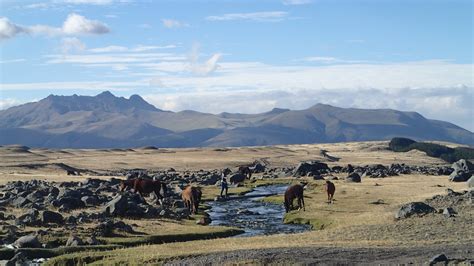 Cotopaxi Adventure Trails (3 days) | Terraficionados