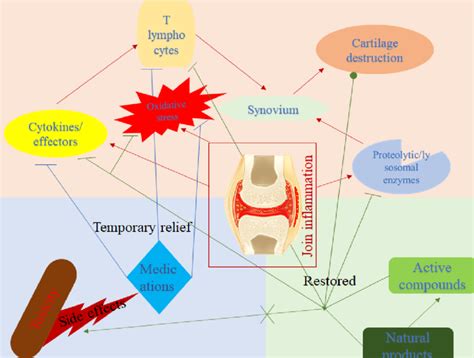 Overview of joint inflammation clinical indications and its treatments ...